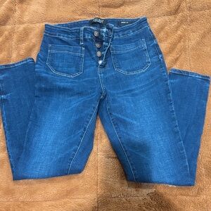 Judy Blue Indigo Skinny High-Rise Button-Fly Jeans